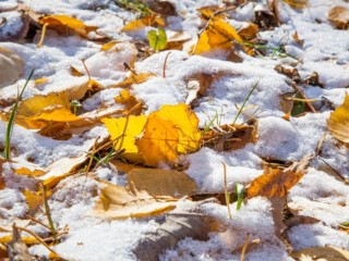 Точную дату наступления зимы и выпадения первого снега в Подмосковье назвали синоптики