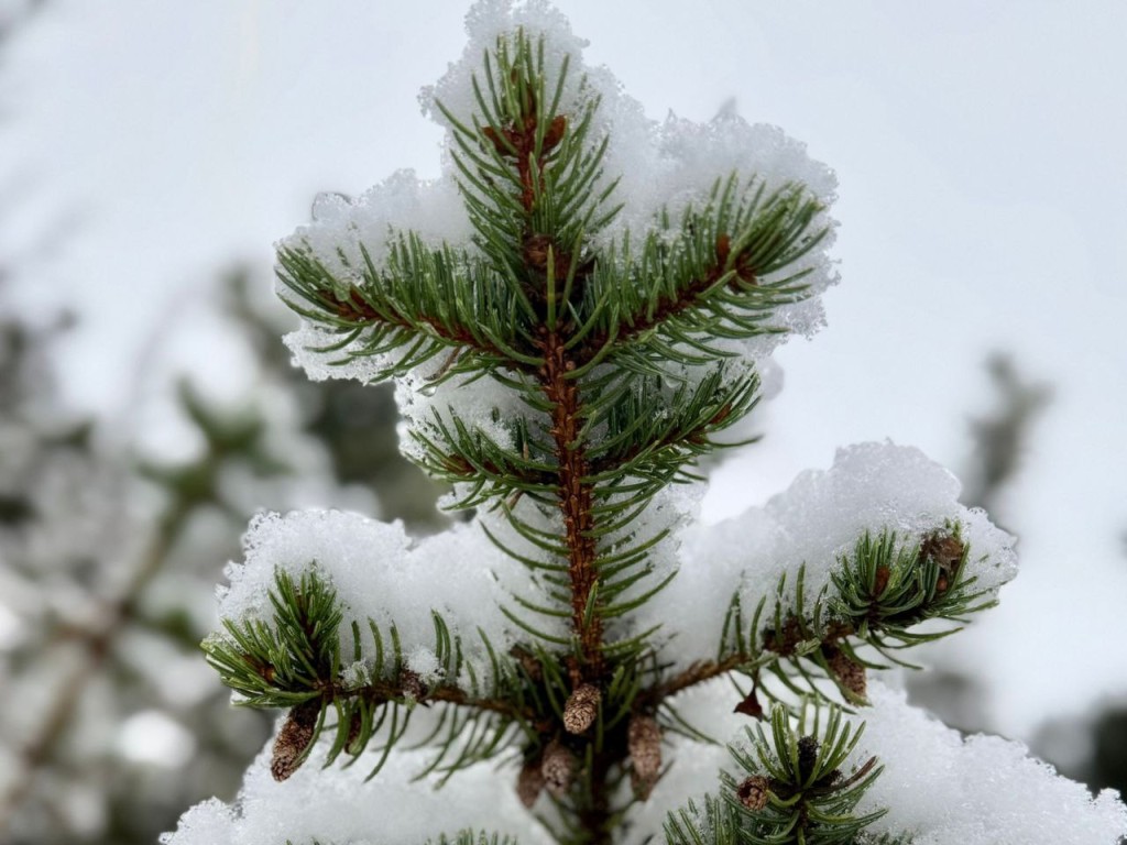 Гороскоп на 12 декабря 2025 для всех знаков Зодиака: у Тельцов, Близнецов и Рыб возможны разочарования, а Овнов, Дев и Стрельцов — успех и прибыль