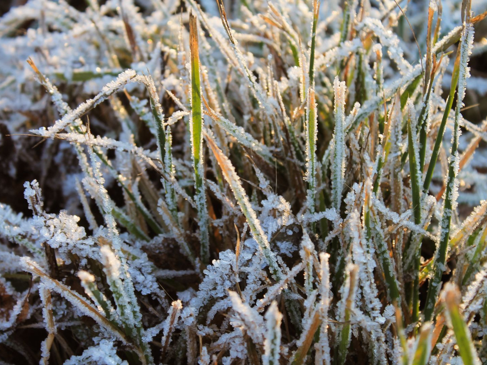 «Дубак» и до -15°C? Чего ждать от погоды в Подмосковье в середине декабре