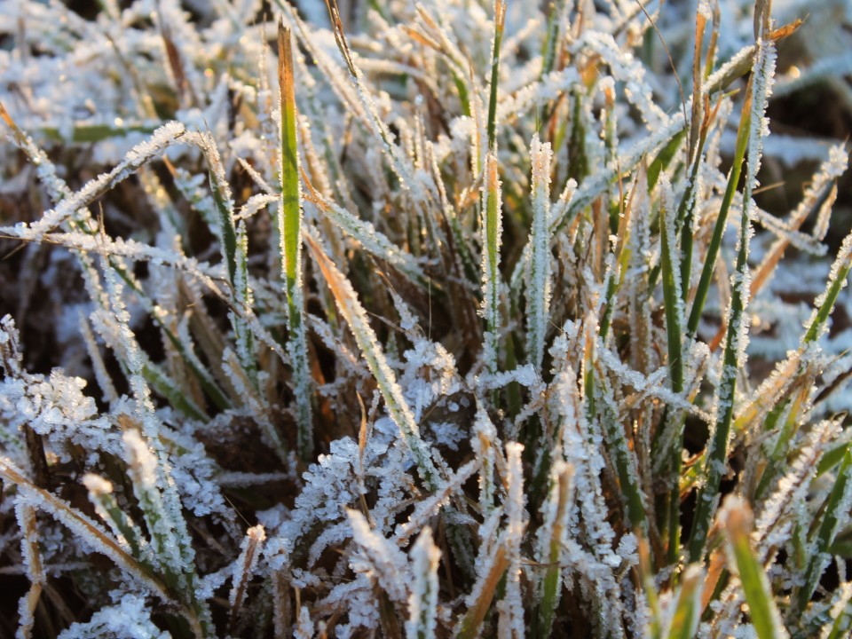 Солнечногорск пережил самую морозную ночь