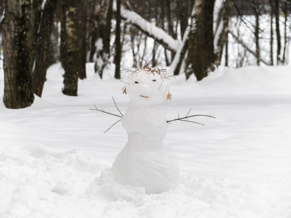«Красота и любовь в самом простом»: дворник в Мытищах устроил фотосессию мини-снеговику