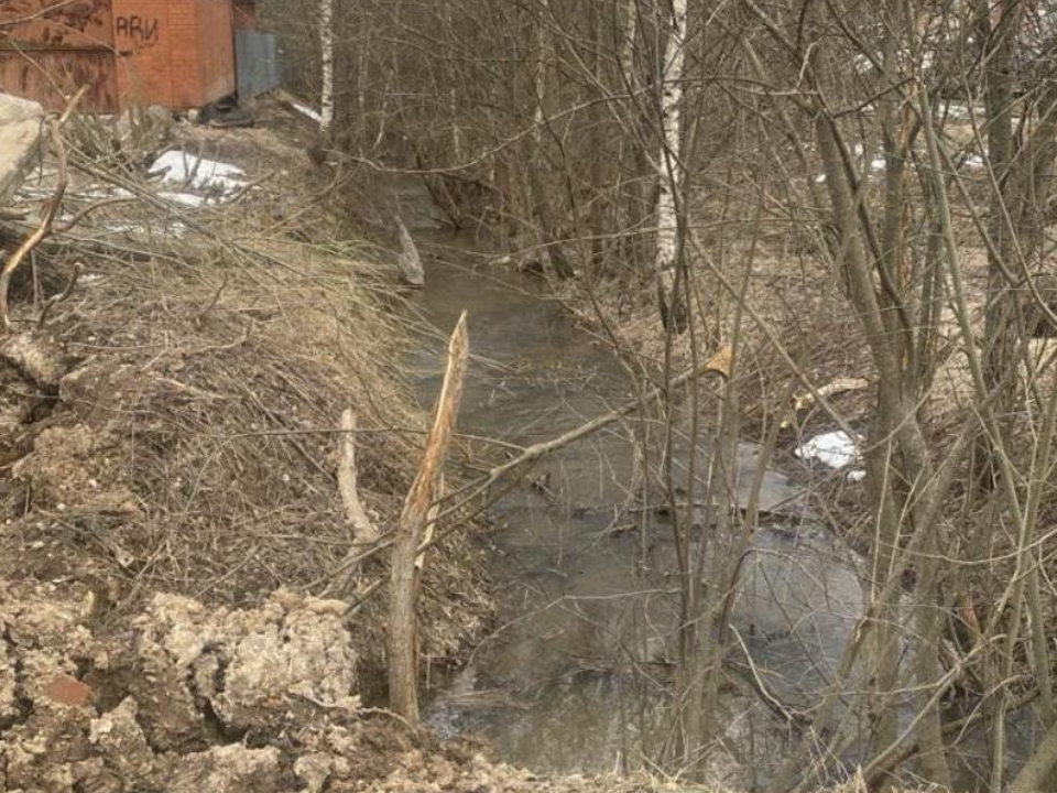 Экологи выявили нарушения на частных землях: ручей и окружающая природа под защитой