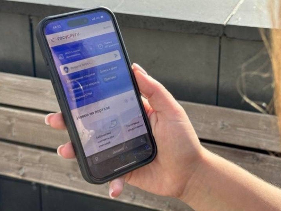 Новые правила для доменов в Рунете: кто должен будет пройти идентификацию через Госуслуги