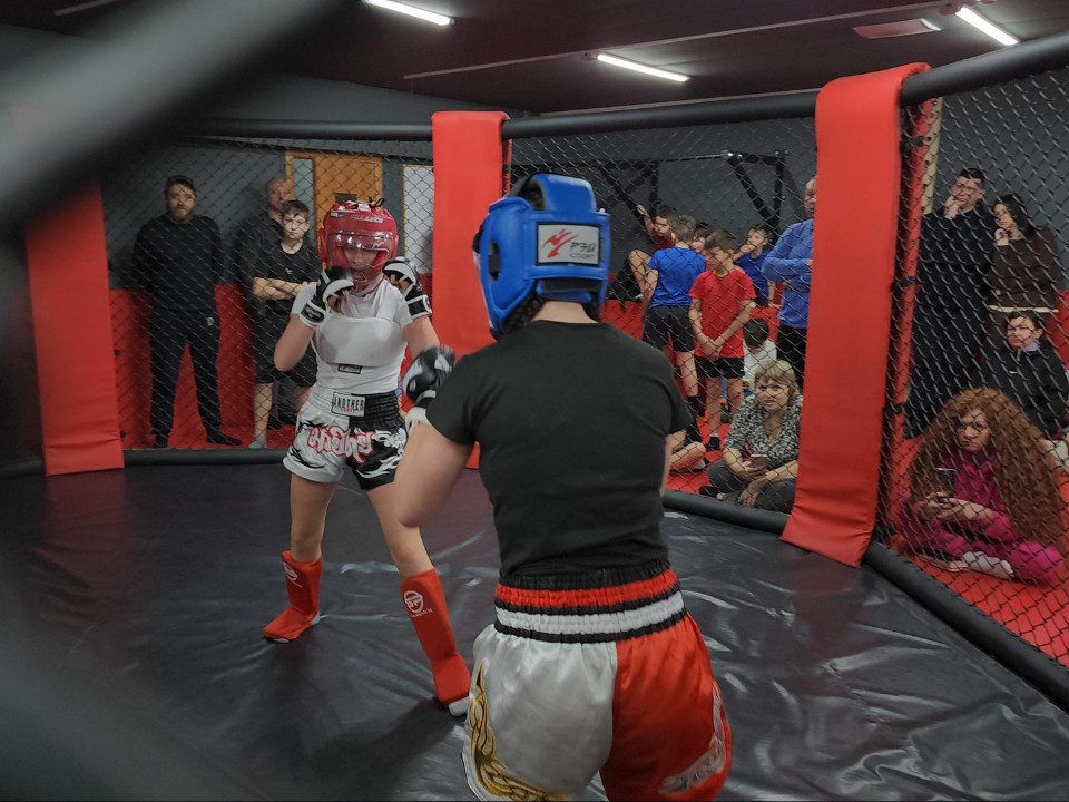 Участниками дебютного турнира по панкратиону стали 40 начинающих спортсменов