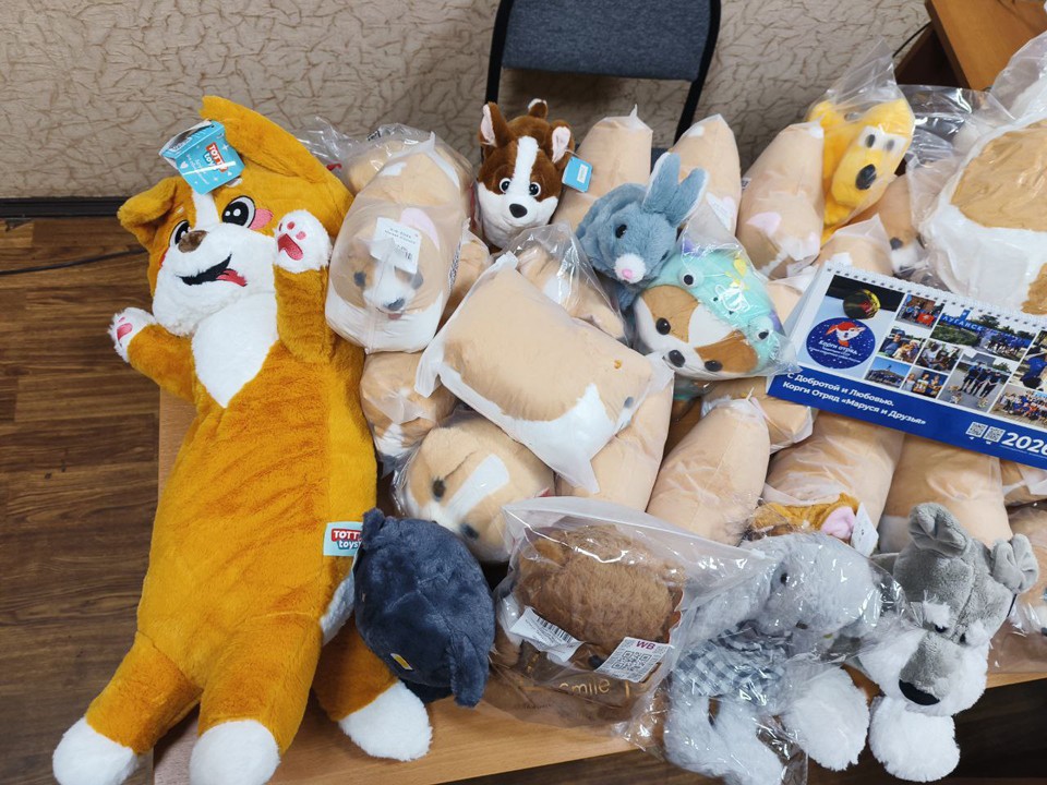 Волонтеры корги-отряда собирают новогодние подарки для детей Донбасса