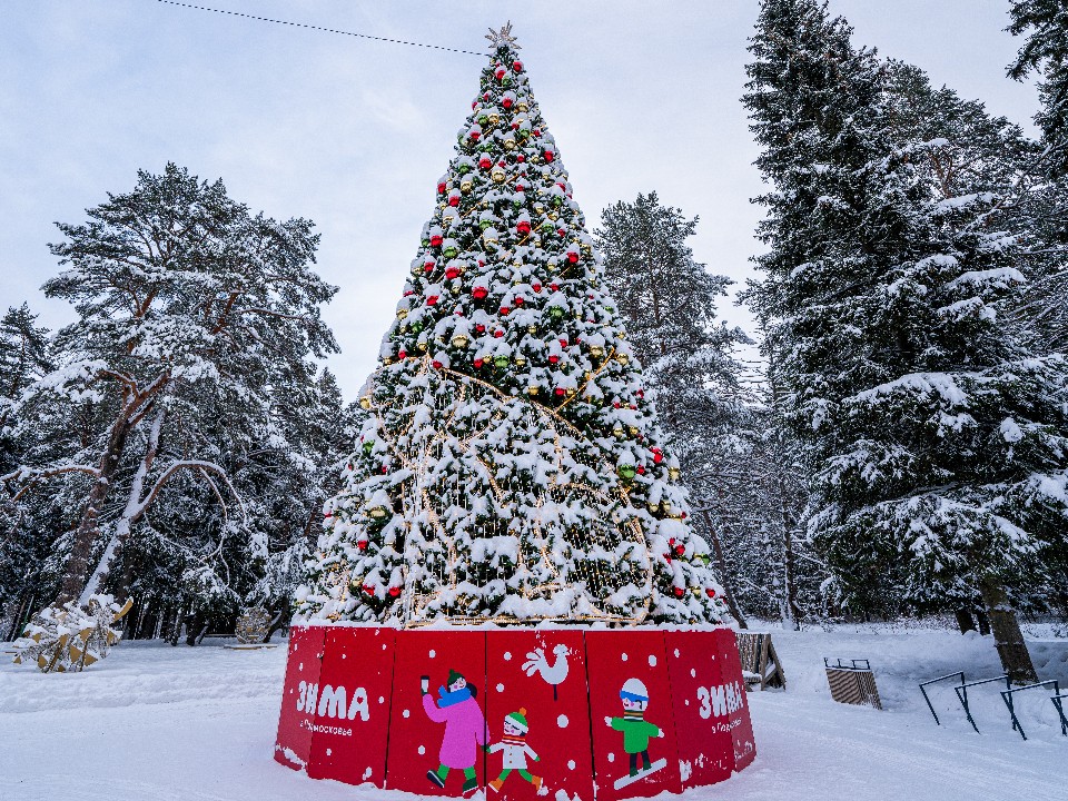 Где встретить первый день зимы с Дедом Морозом в Истре