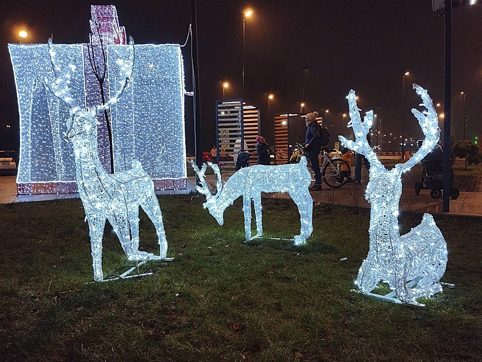 QR-олени и виртуальные гости: как в Ступине используют дополненную реальность для украшения города