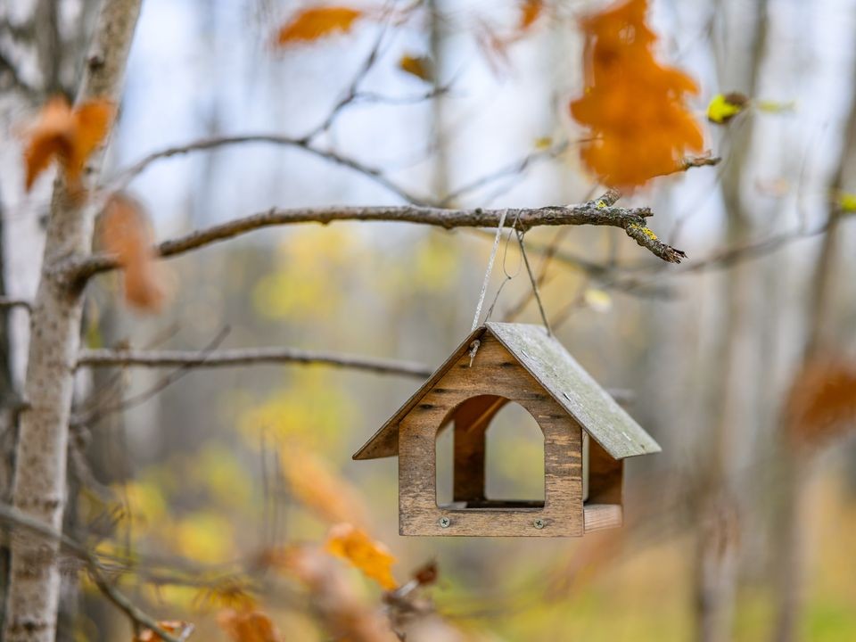 Пасмурная погода и до +3 градусов ожидается во вторник