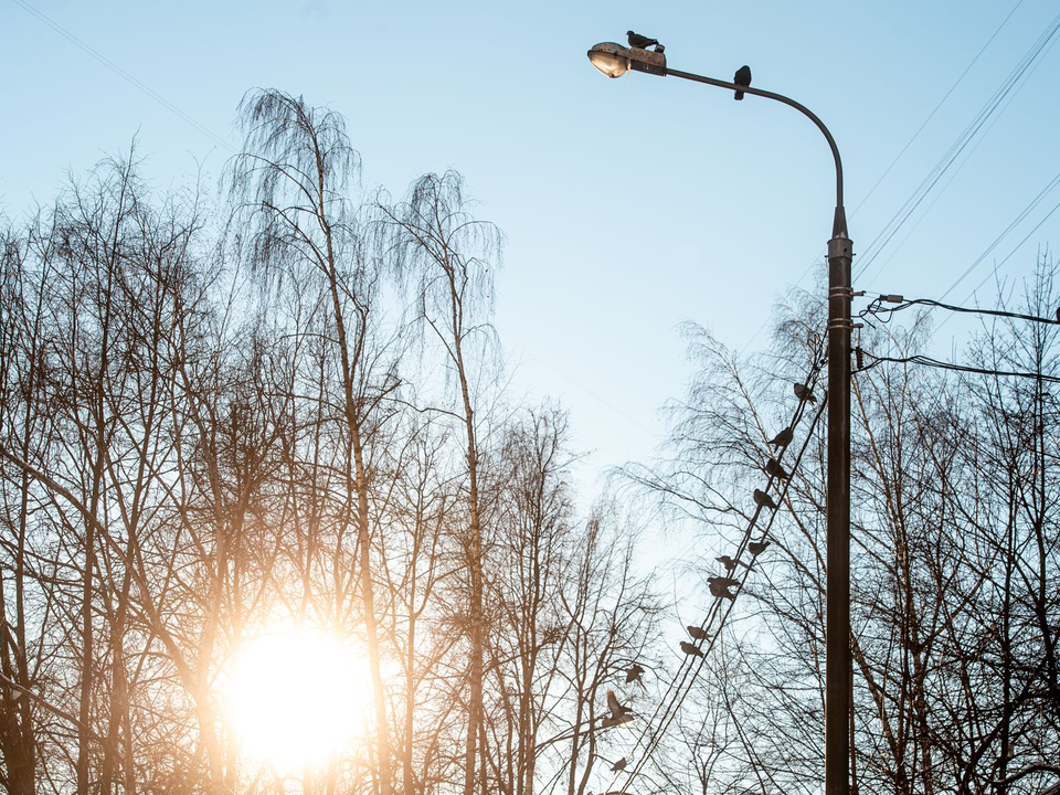 Все желания исполнятся: что можно и нельзя делать в день Зимнего Солнцестояния 21 декабря