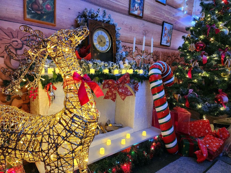 Зимняя сказка у воды: Дед Мороз обосновался на набережной озера Сенеж