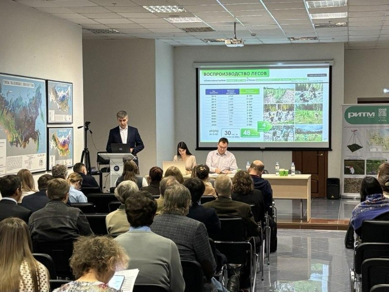 Лес сам не справится: зачем Подмосковью санитарные рубки и уборка неликвидной древесины