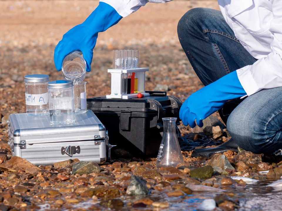 Фрязинский эколог стал лучшим в стране