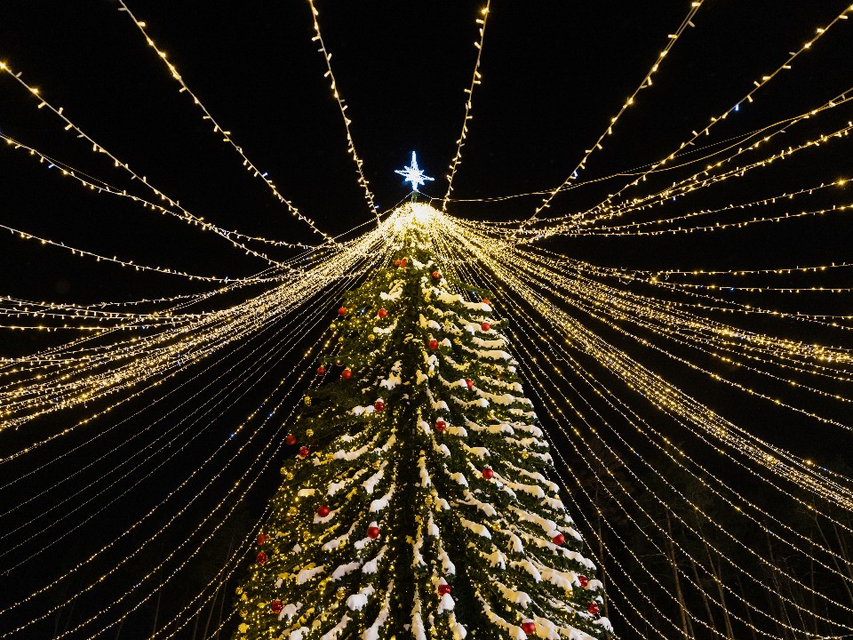 Жители Лотошина зажгут огни на главной елке округа