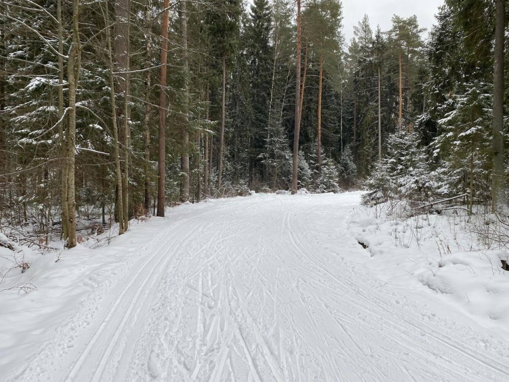 Для новичков и профи: где можно покататься на лыжах в Егорьевске