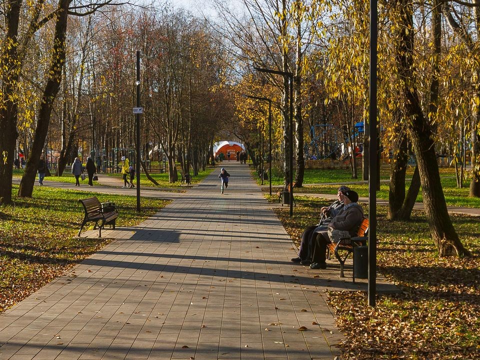 Тепло в декабре – не подарок: для кого опасны резкие перепады температуры