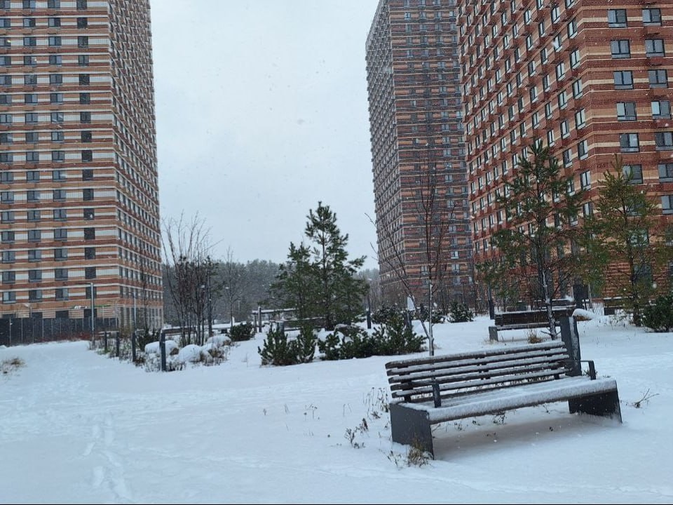 Снег, гололедица и низкое давление: какой будет погода 28 и 29 декабря