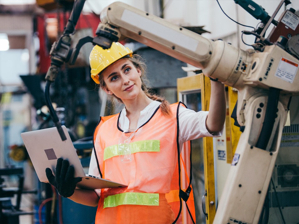 Выпускников колледжей Подмосковья будут трудоустраивать