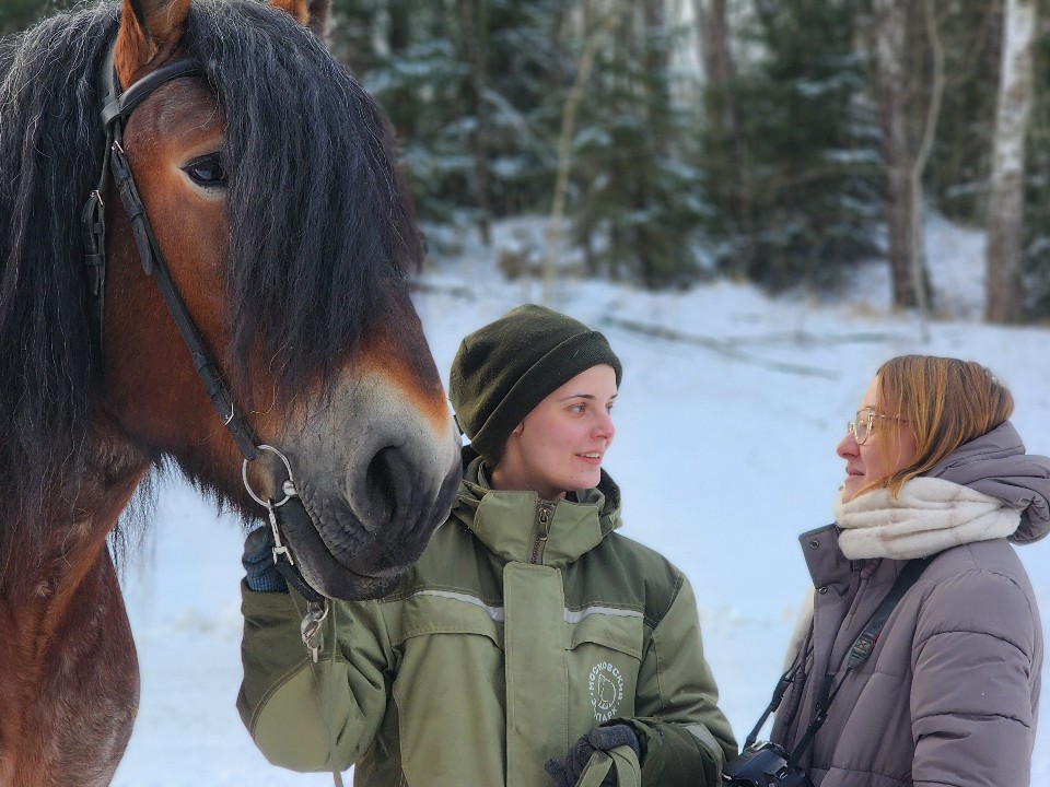 Попасть на экскурсию к редким животным волоколамцы смогут в любой день новогодних каникул