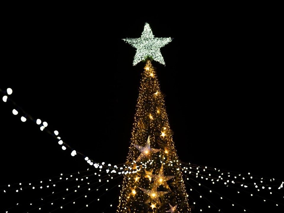 Добрый декабрь: в Орехово-Зуевском округе стартовала «Зима в Подмосковье»