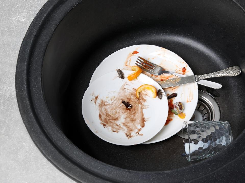 «Это ненависть к нам, к основному населению»: биотерроризм на кухнях получил оценку