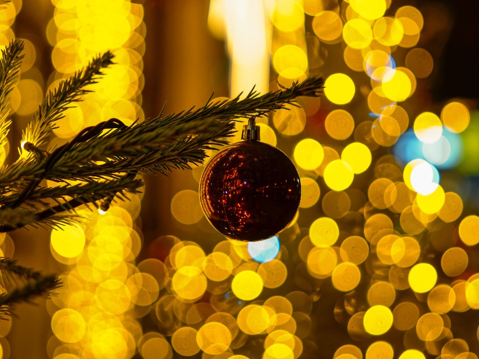 Правила выживания в праздники: спасатель дал пять советов по безопасности на Новый год