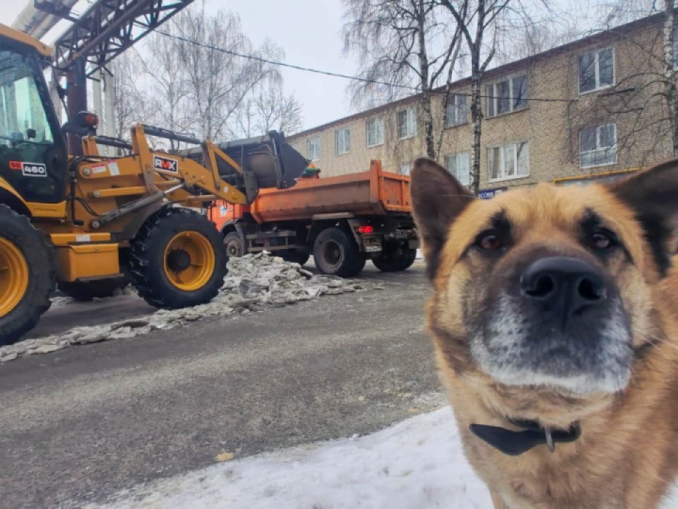 Коммунальные службы Реутова перешли в режим повышенной готовности