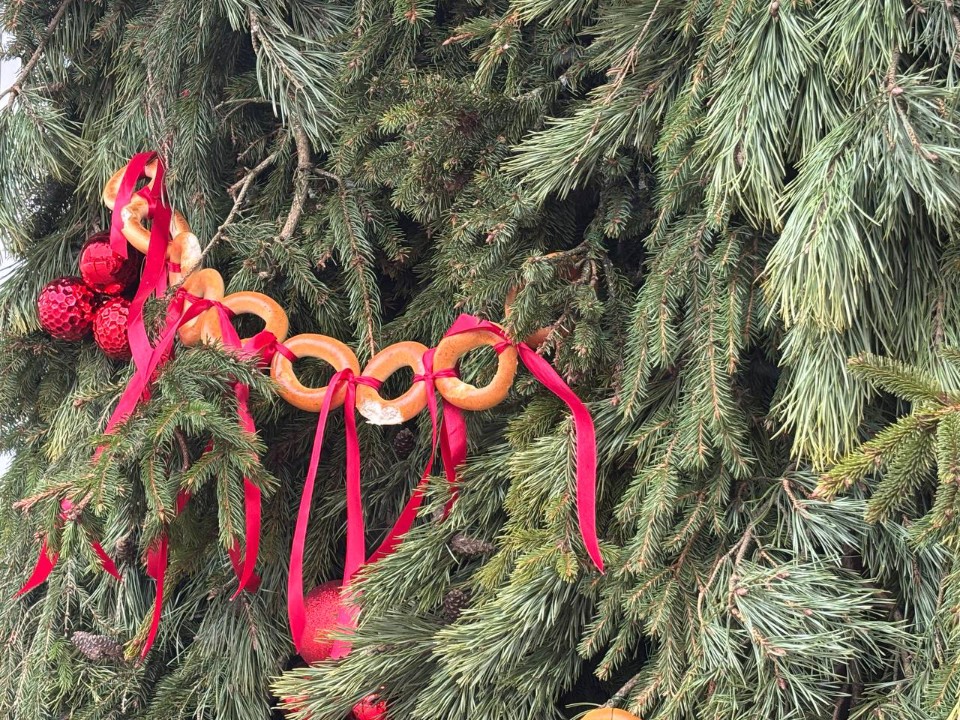 В Солнечногорске вандалы «съели» новогодние баранки на фасаде магазина
