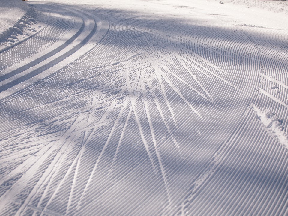 Где покататься на лыжах в Истре: список мест, где готовят трассы этой зимой