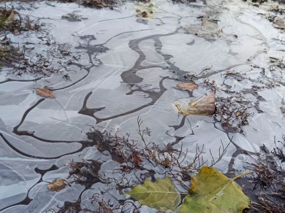 Волоколамцам запретили выходить на лед: его толщина составляет всего 0,5 см