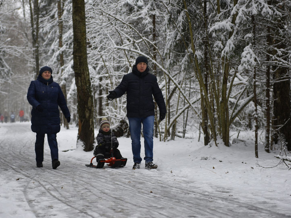 Готовьте санки и лыжи! Москву и Подмосковье засыплет снегом к Новому году