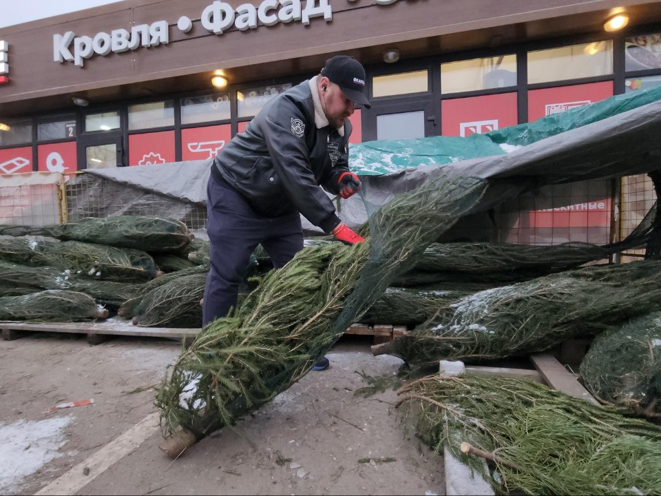 В Рузе открылись елочные базары