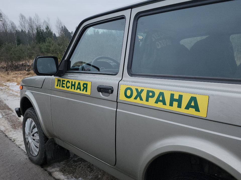 Лесники спасли водителя, улетевшего в кювет под Можайском