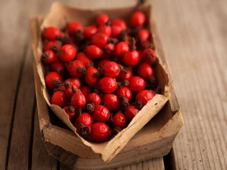 Где купить сушеные малину и шиповник: топ мест в столичном регионе