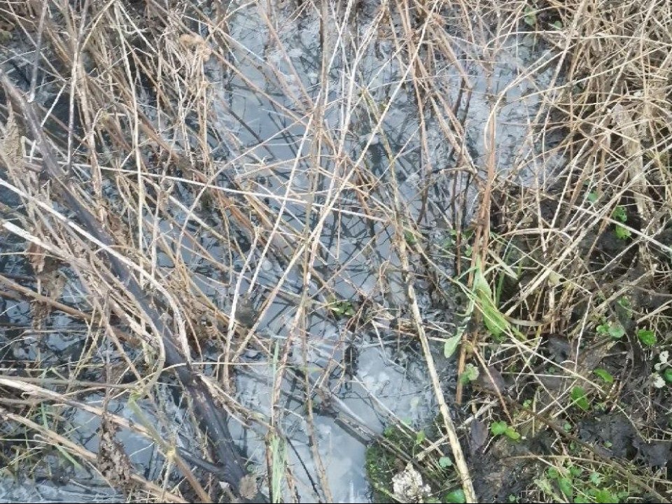 Выведен коллектор для сброса: в Одинцовском округе инспекторы выявили нарушение по жалобе