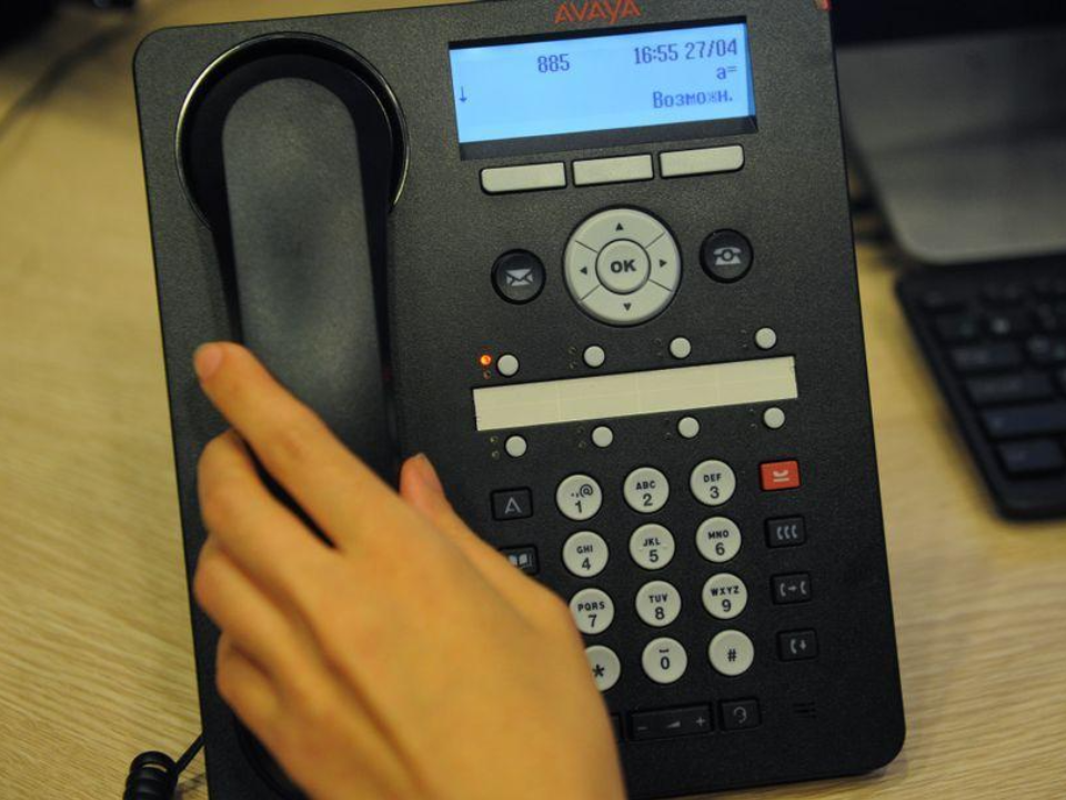 Дачный участок могут признать неиспользуемым: звонок на горячую линию решит вопросы владельцев