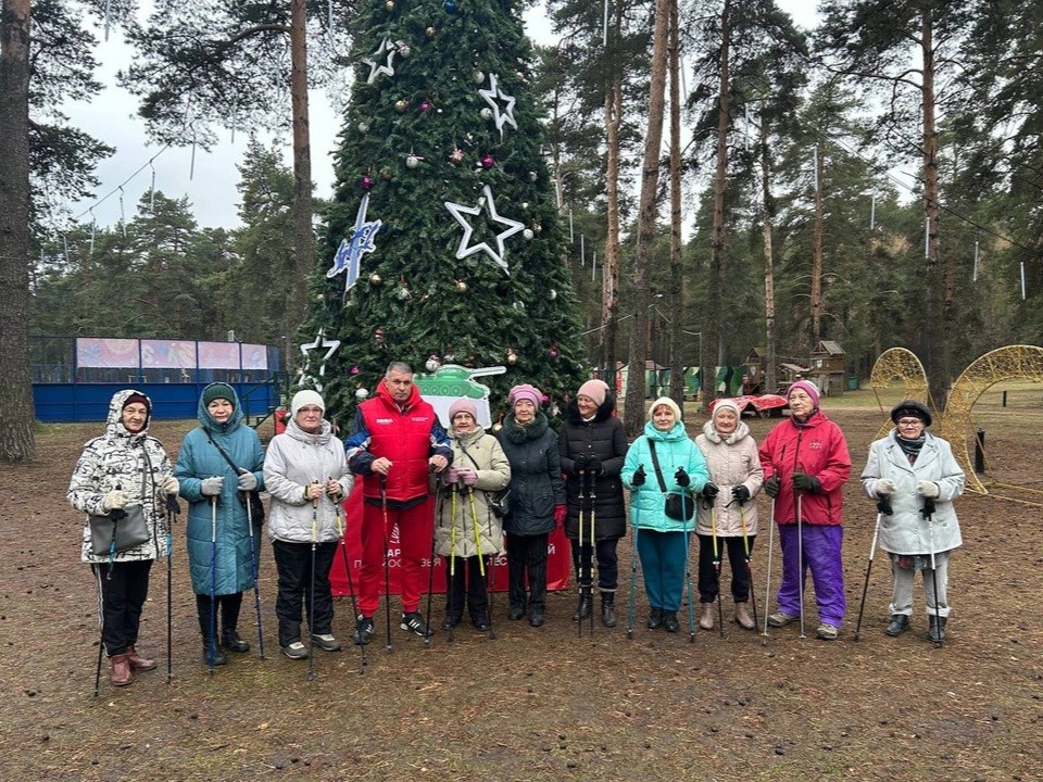 Пять плюсов одной прогулки: скандинавской ходьбой займутся в Кузьминском лесопарке