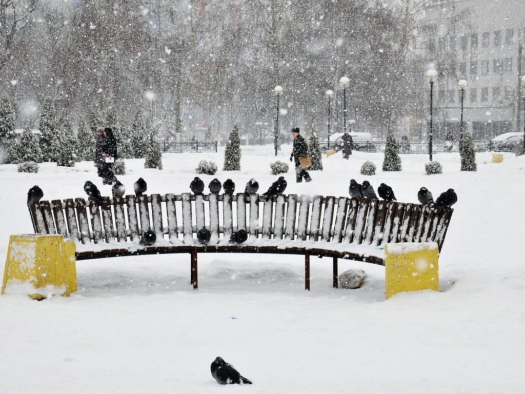 Метели и морозы в -20? В январе Подмосковье заметет снегом и придет арктическая стужа!