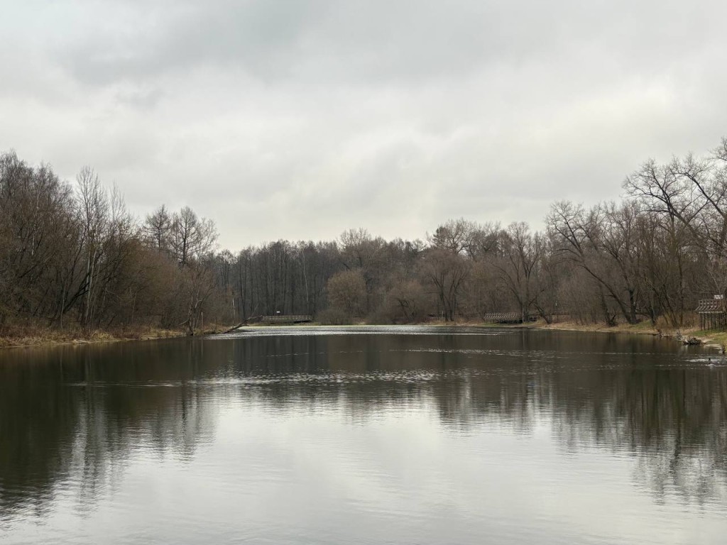 Подозрительная рыба в пруду: почему проверка у птицефабрики привлекла внимание прокуратуры