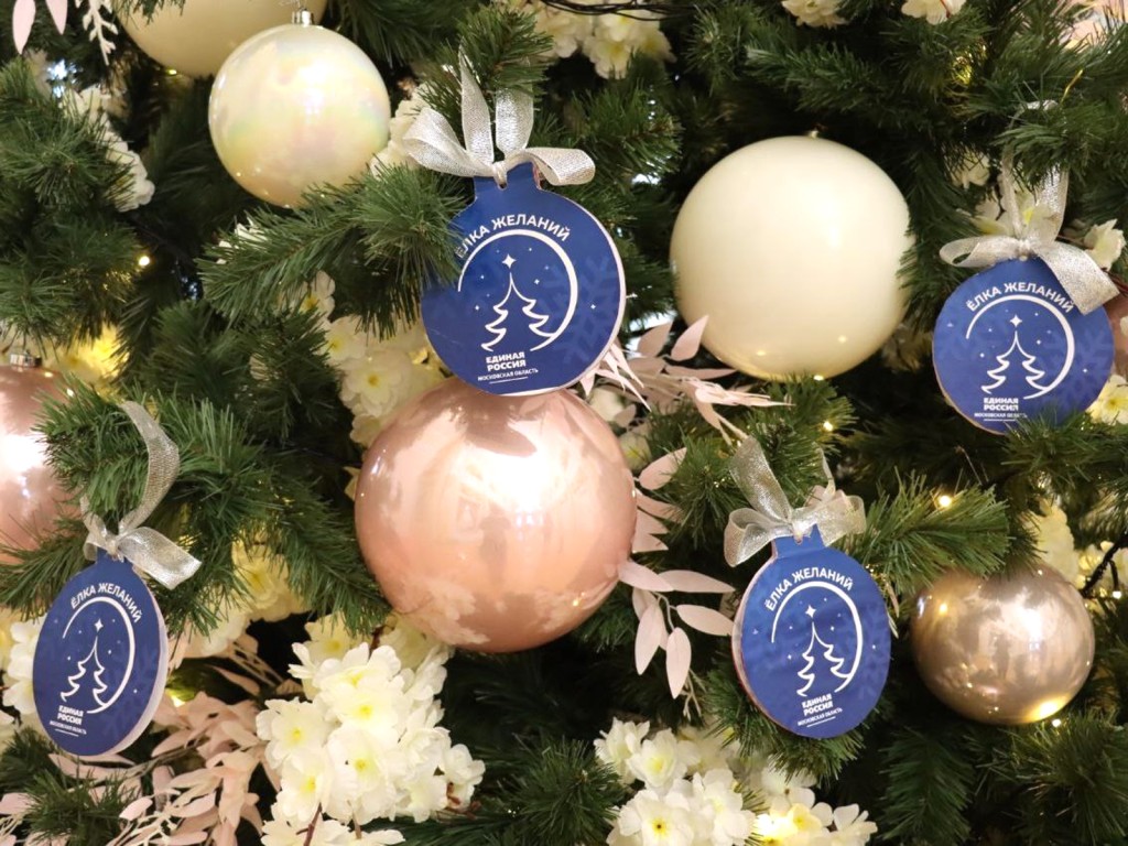 Руководители Ступина исполнили новогоднюю мечту сына участника СВО