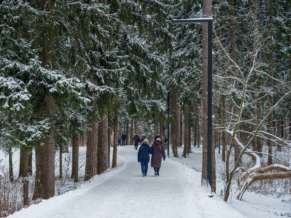 Врач-терапевт назвала шесть правил для укрепления здоровья в зимний период