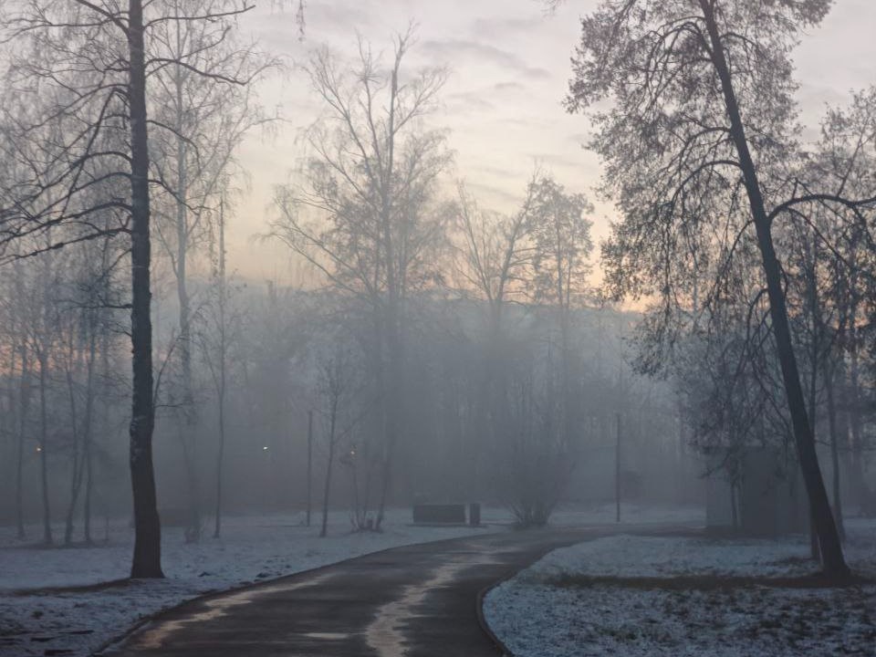Почему синоптики боятся утра 3 декабря? Подмосковье уйдет в молочную и ледяную мглу