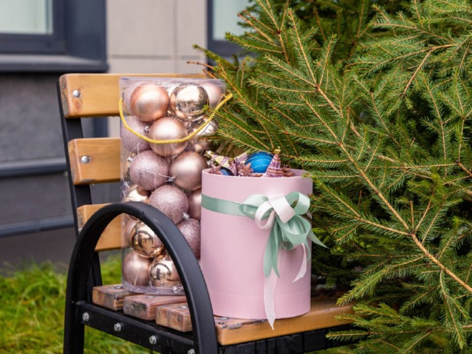 Городские учреждения украсят 28 живых елей