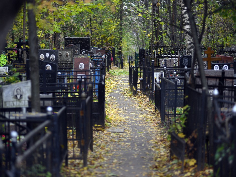 Не разовая «акция»: кто и зачем приносит мясо на кладбище в Подольске