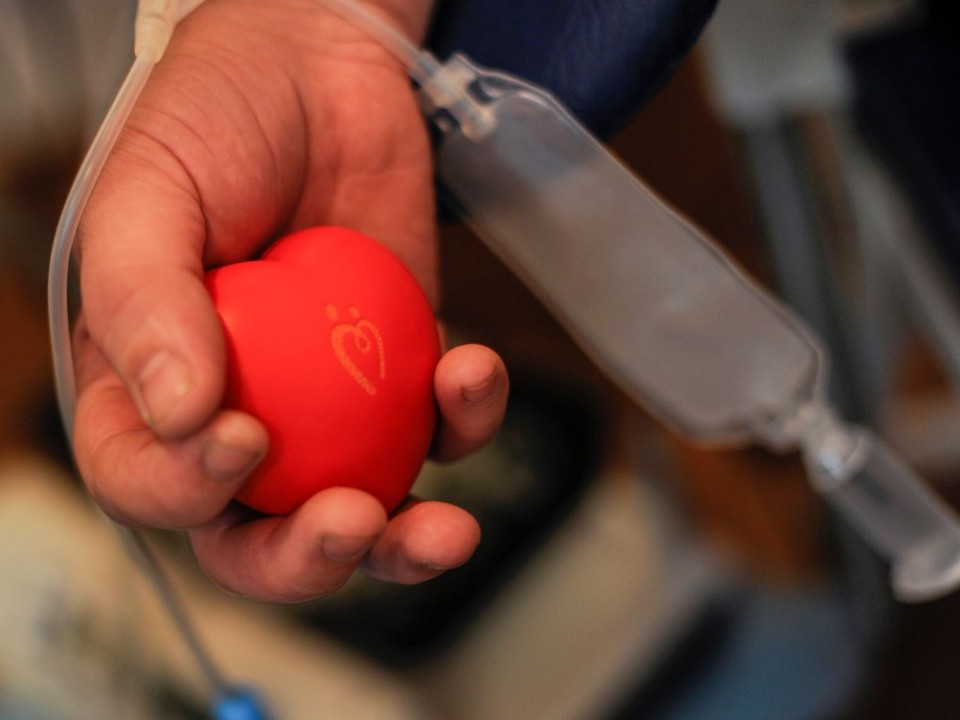 Помочь без лишних слов: волоколамцы могут присоединиться к акции по сдаче крови