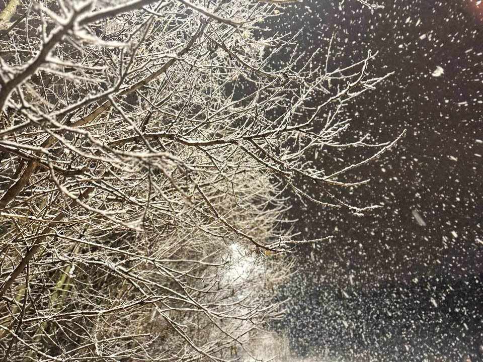 Морозы до −12°C и сугробы до 33 см: стало известно, какой январь ждет Москву и Подмосковье