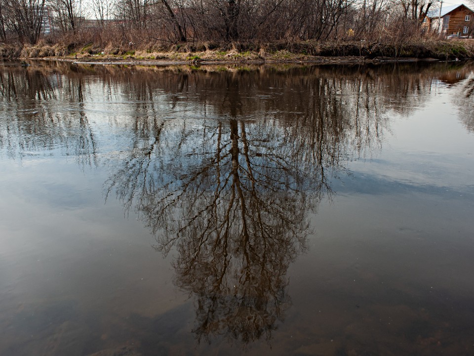 «Мы создаем новые общественные пространства» — кто и зачем чистит водоемы Сергиева Посада