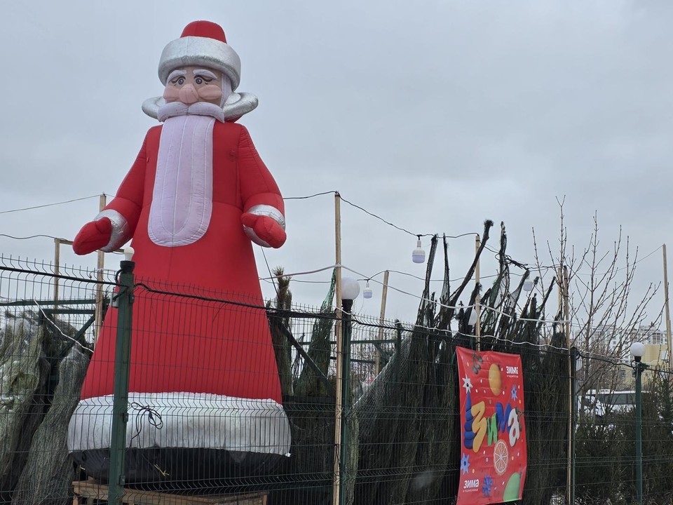 Базары без выходных: где и как выбрать главный символ Нового года в Дзержинском