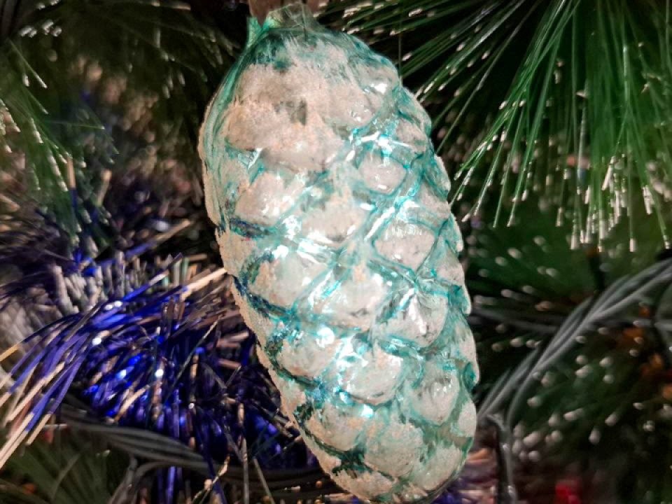 Клещи, но не те? Какие непрошеные гости могут попасть в дом с новогодней елкой