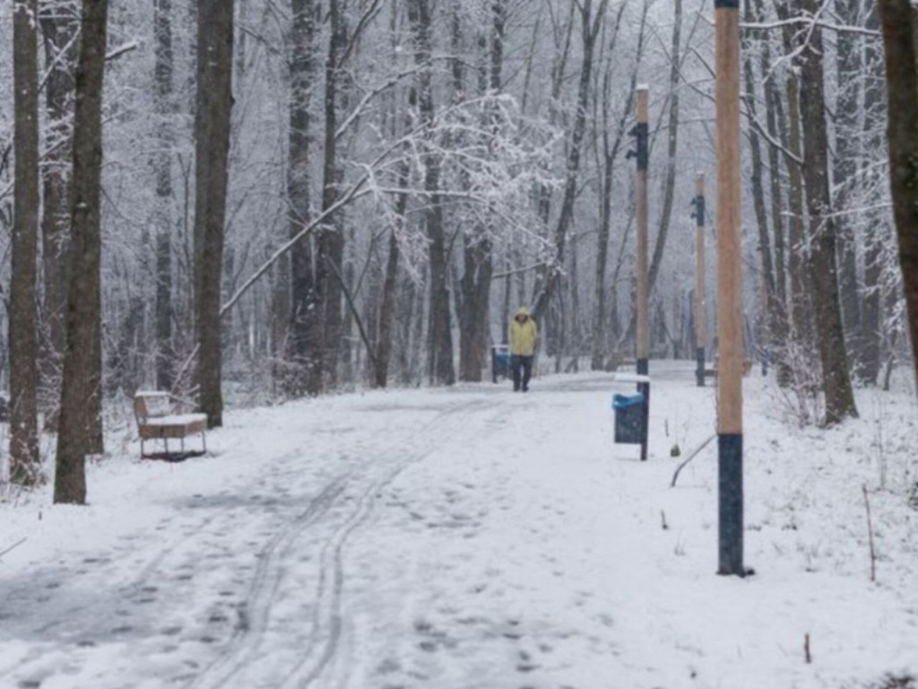 Мороз до -11? Какой будет погода на следующей неделе в Подмосковье