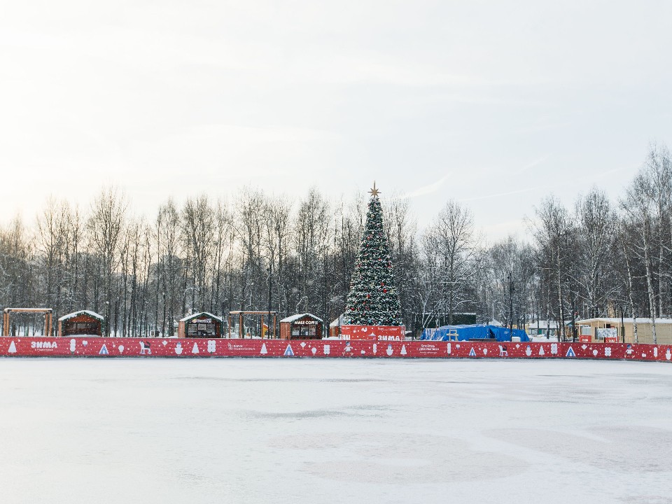 В Подмосковье стало еще красивее: сколько парков и зон отдыха преобразились в 2025 году